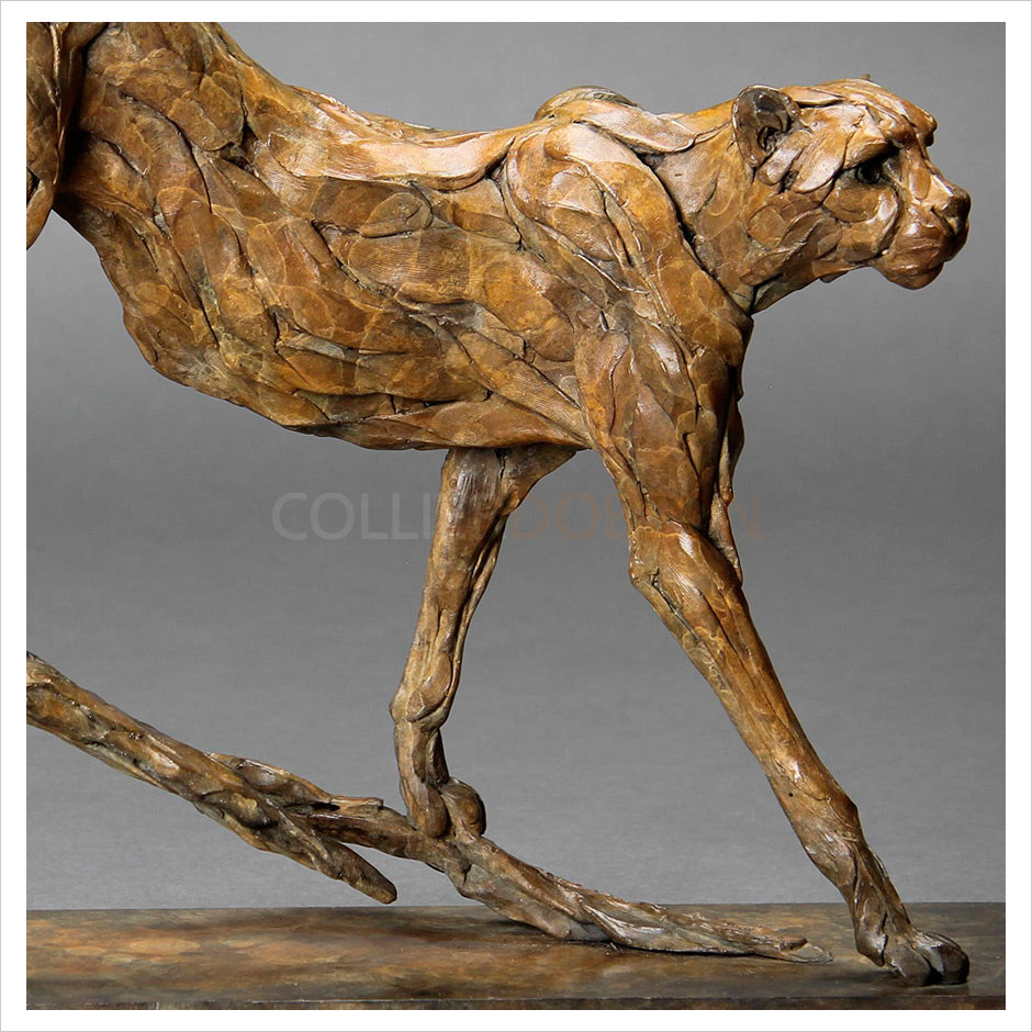 Cheetah by William Montgomery