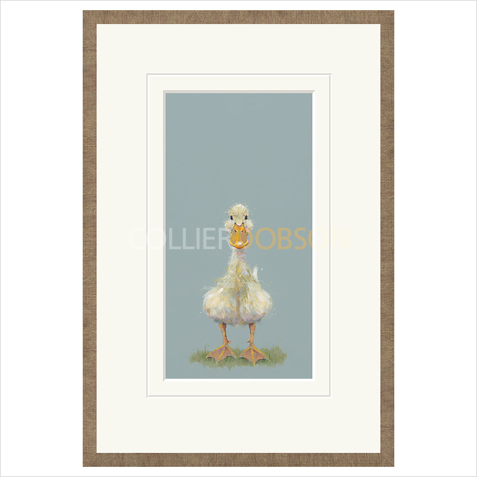 Framed Print