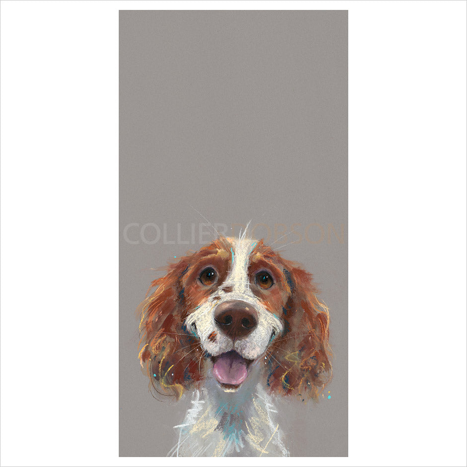 Happy Go Lucky by Nicky Litchfield