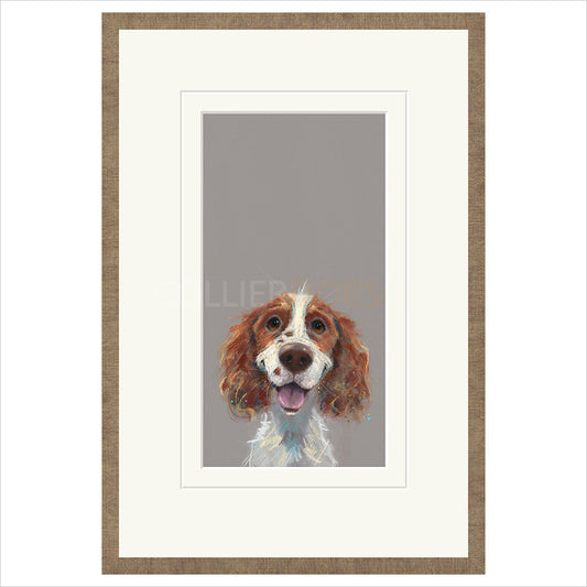 Happy Go Lucky by Nicky Litchfield