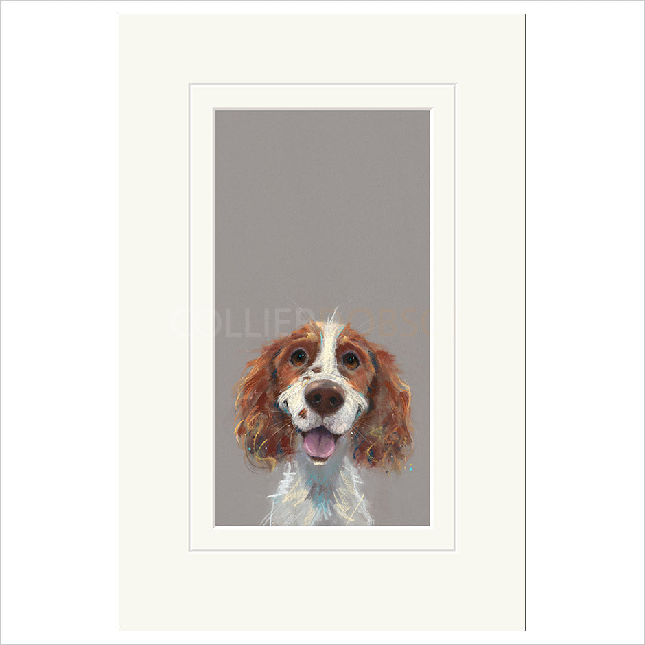 Happy Go Lucky by Nicky Litchfield