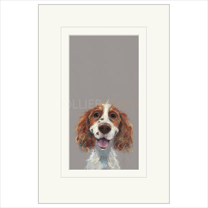 Happy Go Lucky by Nicky Litchfield