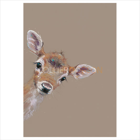 Doe a Deer by Nicky Litchfield