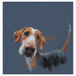 Hound Dog by Nicky Litchfield