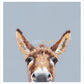 Well Hello There! by Nicky Litchfield