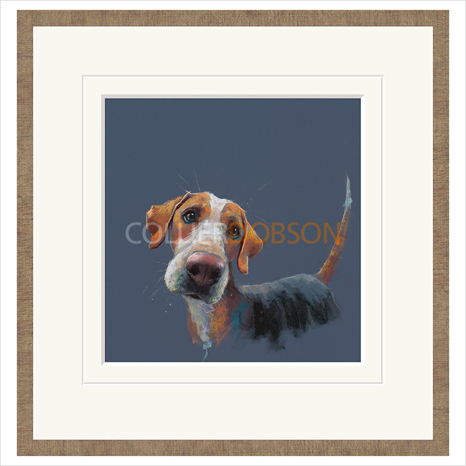 Framed Print