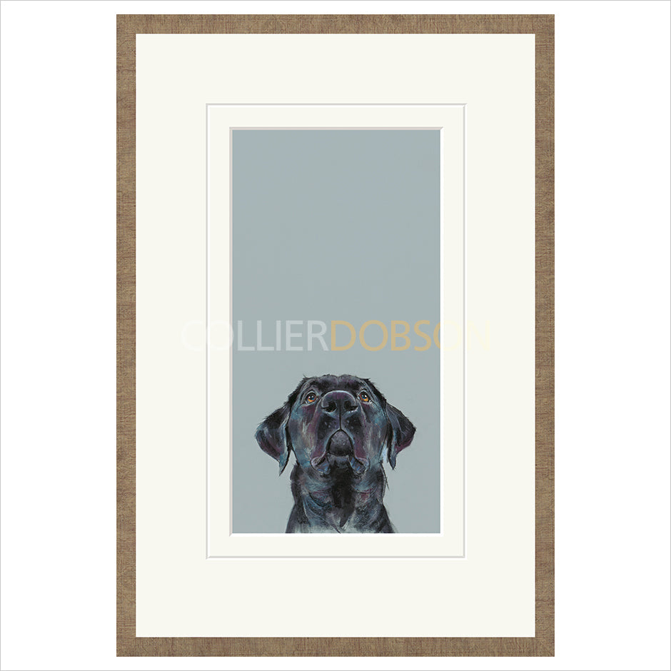 Framed Print