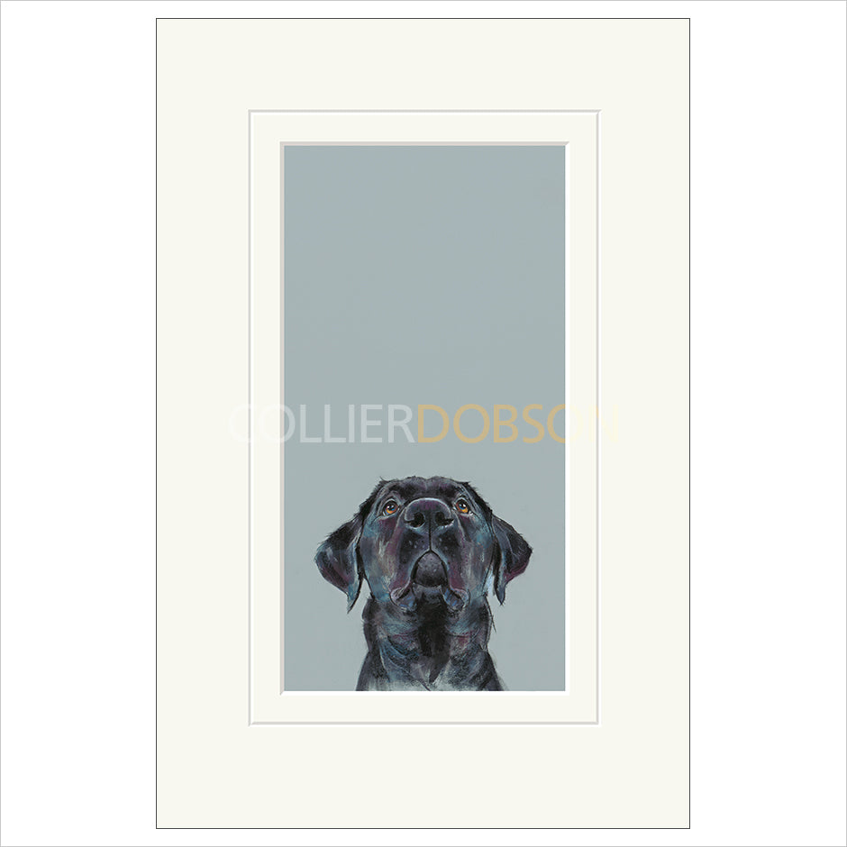 Mounted Print