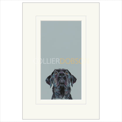 Mounted Print