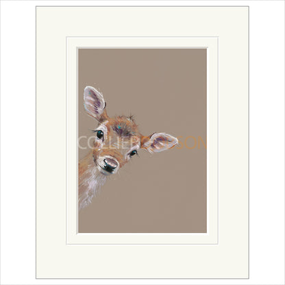 Mounted Print
