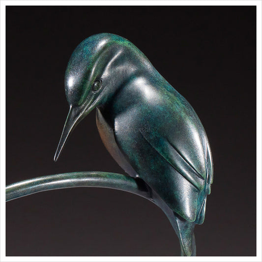 Kingfisher by Simon Gudgeon