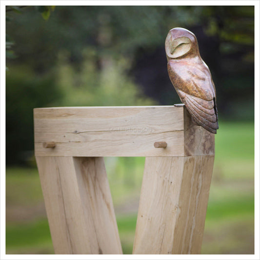 Barn Owl by Simon Gudgeon