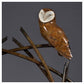 Barn Owl on Branches by Simon Gudgeon