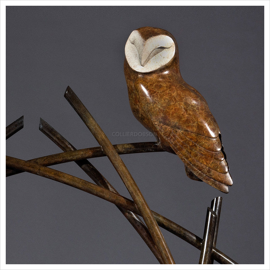 Barn Owl on Branches by Simon Gudgeon