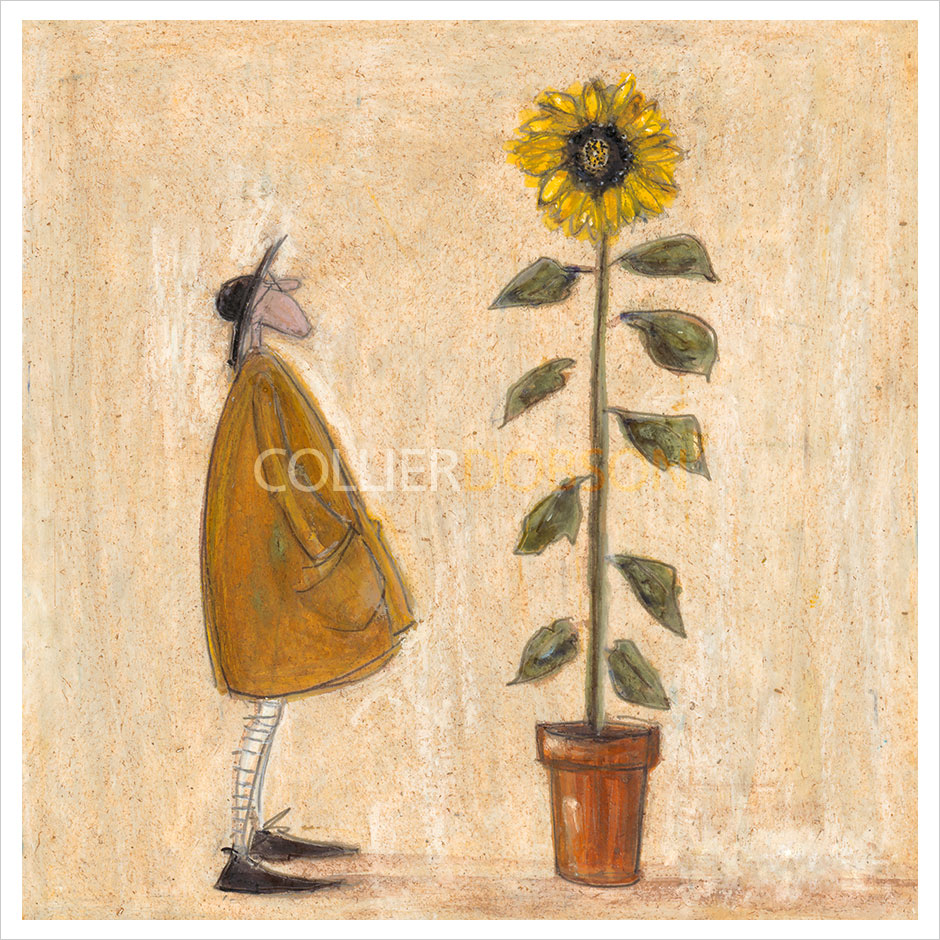 Good Day Sunshine by Sam Toft