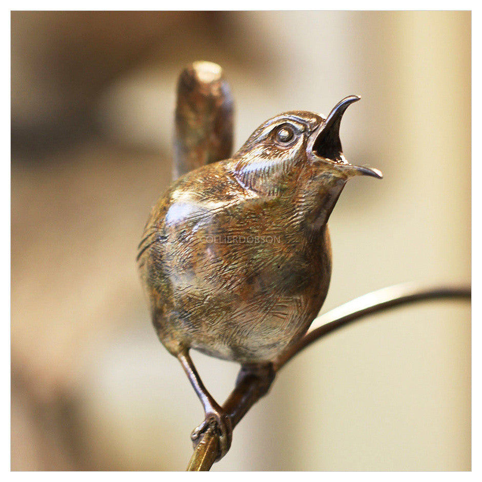 Wren by Sophie Louise White