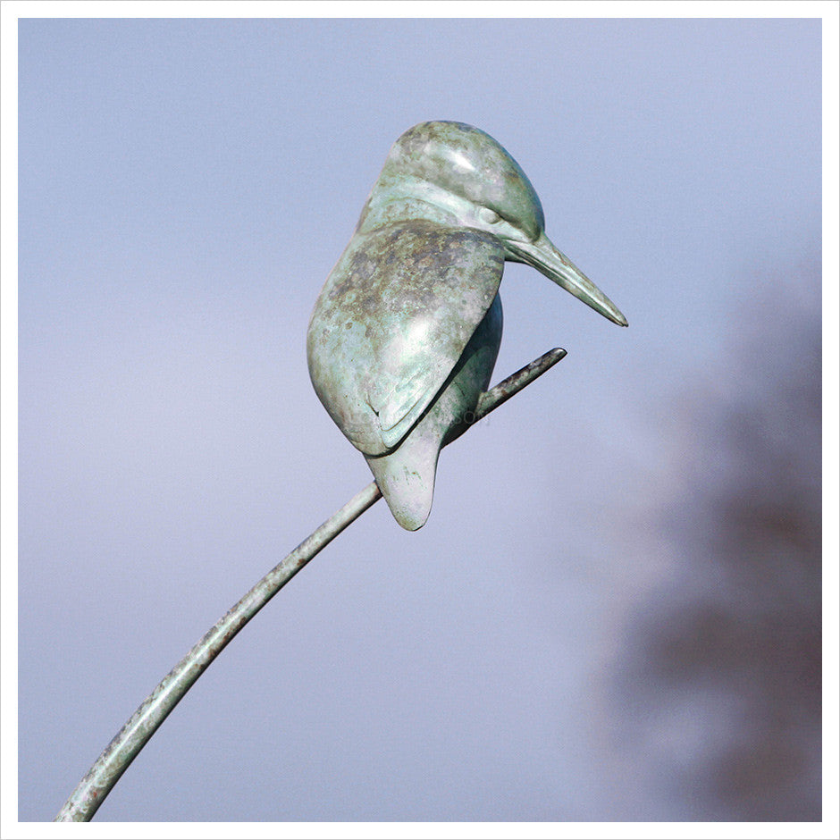 Halcyon Days, Large Kingfisher by Sophie Louise White