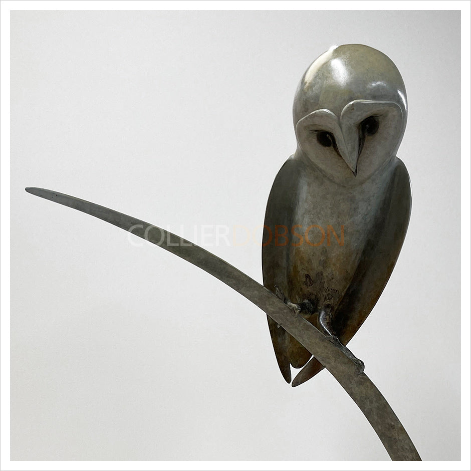 Barn Owl by Sophie Louise White