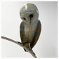 Barn Owl by Sophie Louise White